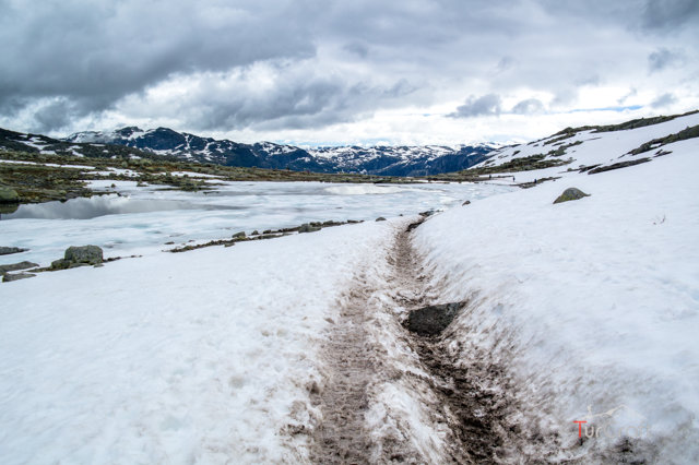 Trolltunga - Snow - TurCraft