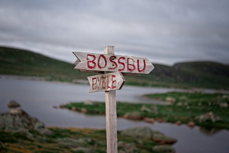 Bossbu Hiking Adventure - TurCraft