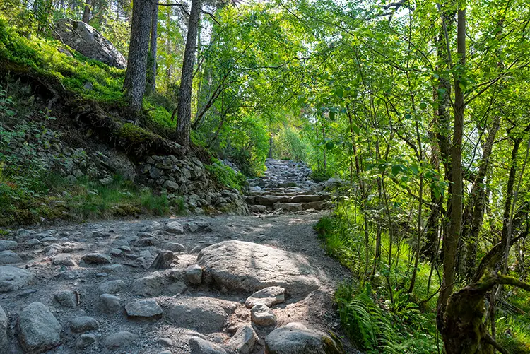 Path to Preikestolen - TurCraft.com