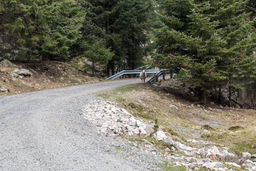 Bjordal to Kvitlen - TurCraft