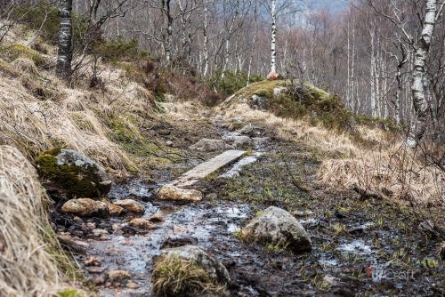 Bjordal to Kvitlen - TurCraft