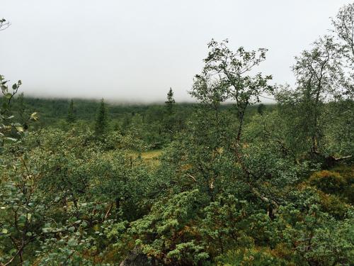 Bossbu - TurCraft.com