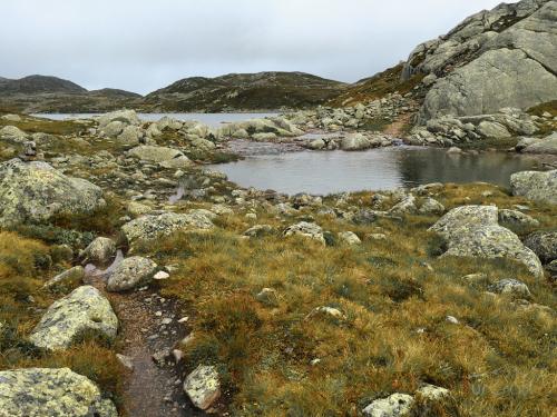 Bossbu - TurCraft.com