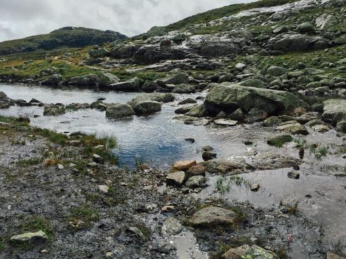 Bossbu - TurCraft.com