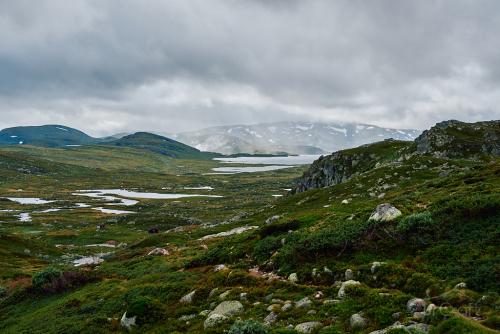 Bossbu - TurCraft.com