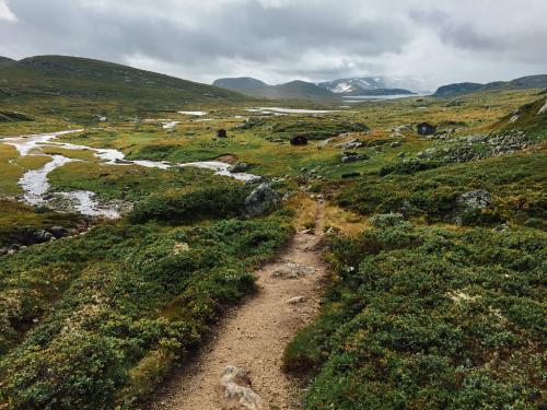 Bossbu - TurCraft.com