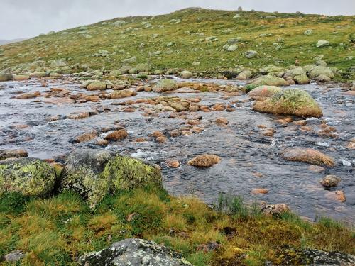 Bossbu - TurCraft.com