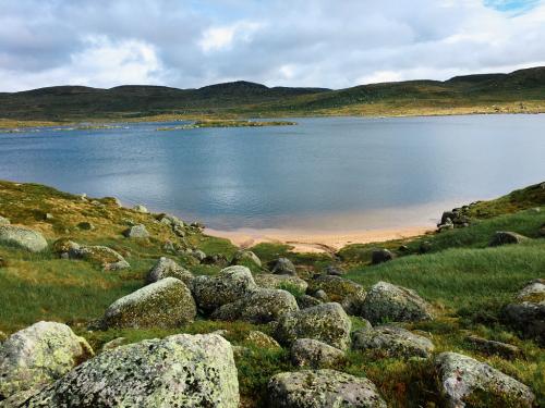 Bossbu - TurCraft.com