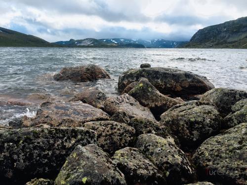 Bossbu - TurCraft.com