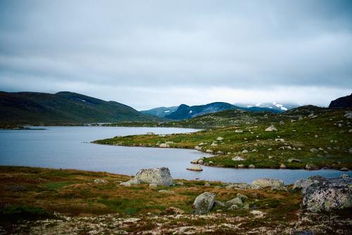 Bossbu - TurCraft.com