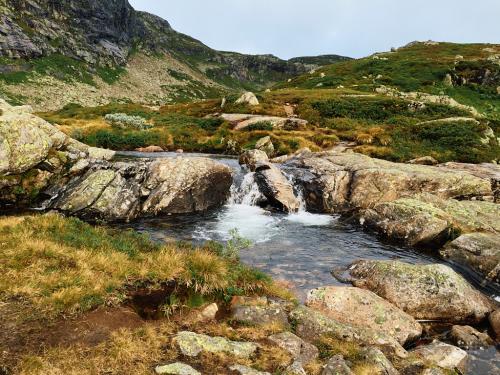 Bossbu - TurCraft.com