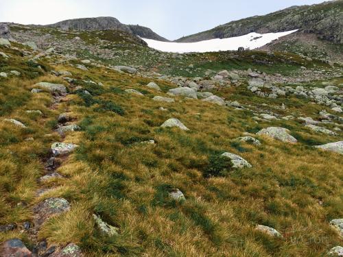 Bossbu - TurCraft.com