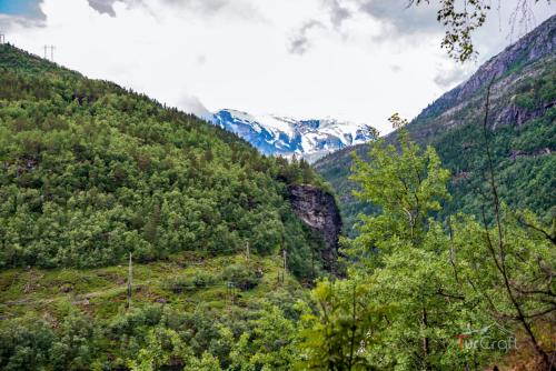 Trolltunga - TurCraft