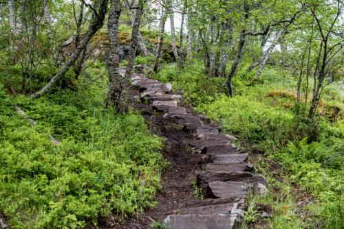 Trolltunga - TurCraft