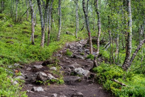 Trolltunga - TurCraft